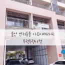 울산원데이클래스 <b>반려</b>동물 아로마 공방 무럭무럭<b>마켓</b>