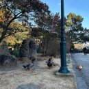 부두여객터미널 ↔ 천지연입구 | 제주 여행 2일차 웅장한 천지연 폭포 주차장 입장료 정보