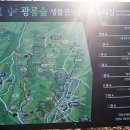 광릉숲 생물권보전지역 둘레길과 팜 브릿지 카페 (2023.11.24.금) 이미지