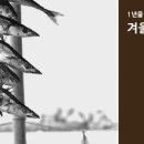 바다과메기
