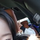 어쩌다이사장 이미지