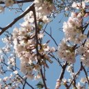 황령산순환도로 이미지