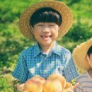 차농장 네이버블로그