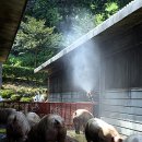 재남농장 이미지