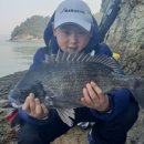 고기선수 이미지