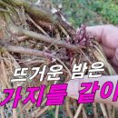 24 년 2월17~18일 충청행복방 출석부 이미지