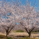 모화3리 이미지