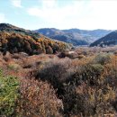 산골나들이 이미지