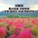 황산(주차장)화장실 | 양산댑싸리 국화축제 황산공원 개화상태 축제정보 주차 화장실
