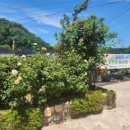 윤경농장 이미지