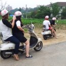 남이섬 하늘사랑 이미지