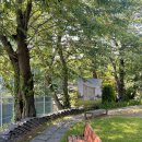 용화사 미륵석불 이미지