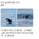 그린세상