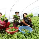 하동농협적량지점 이미지