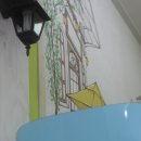 올리브 펫 이미지