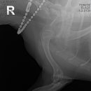 놀로 아쿠아센터 이미지