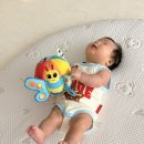 5개월 아기장난감 추천｜라마즈 디스커버리볼 오감놀이 솔직후기