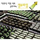 쓰리원 이미지