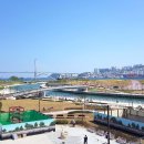 한국판 ‘오라클 파크’ 나오나...부산 북항 야구장 건설 논의 솔솔 이미지