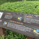 경상북도 야생동물 구조관리센터 이미지