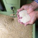 우강축산 이미지