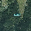 삼기면사무소 이미지