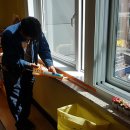 상원초등학교 이미지