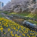 무거동 마을문고 | 깜짝 휴일 꾸리기 : 울산에서 할 게 있냐 물으신다면?