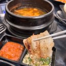 도니조아고기조아