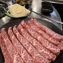 암소제비추리 | 화명동 가성비 소고기 맛집 내돈내산 솔직 후기 구구한우암소