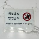 감사랑태권도 퍼포먼스센터 | 제주 더케이쇼 태권도 공연 후기 + 낙타 먹이주기 체험까지! 색다른 하루 ✨