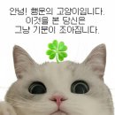 머꼬머꼬 이미지