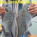 해성좌대 이미지