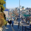 남부체육관 | 블랙컴뱃13 직관 후기!!!(고려대 화정체육관, 이코노미)