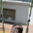 신나는 놀이터 Daum카페