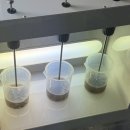 가성농장 이미지