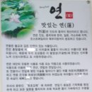 연밥 집 다녀오다 이미지