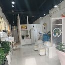한살뷰티