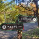 둘레길1구간 | 한라산둘레길 1구간 천아숲길 제주 아라동맛집 서서방숯불닭갈비