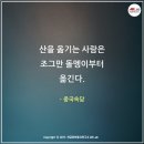 서진인포텍
