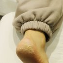 레푸스 방이역점 이미지