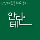 안단테 동물의료센터 이미지