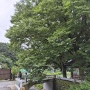 정곡리경로당 티스토리