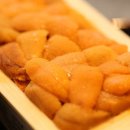 성게돌 이미지