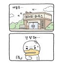복심 이미지