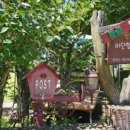 비단향꽃수 이미지