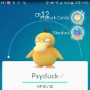 스타펜션 이미지