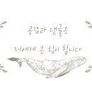 엑스에스 이미지