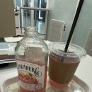 강서 | 서울 단독홀 루이비스 강서 계약 후기