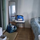 몽실펫 | 바람펫 고양이 자동급식기 6년 사용 후기 | 아직도 쓰는 이유